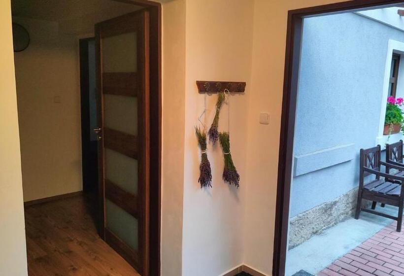 Wellness Apartmán Bělá