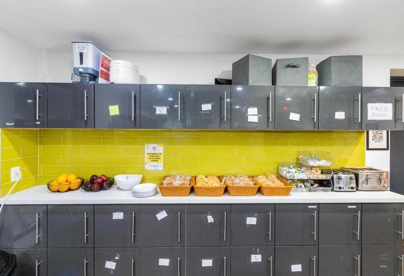 فندق صغير Samesun Toronto