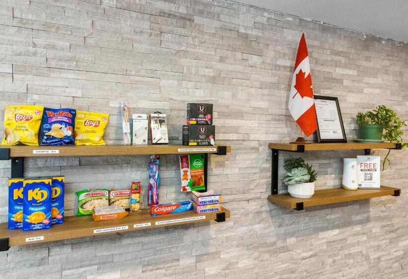 فندق صغير Samesun Toronto