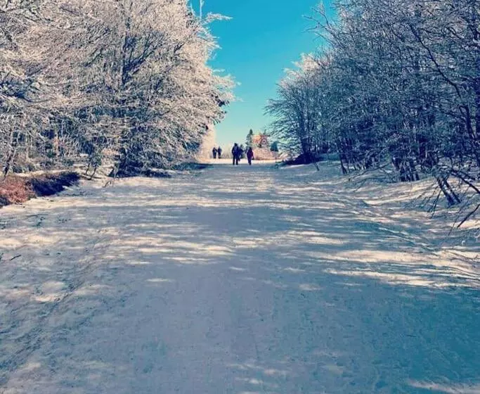 Appt 50m2, 4 Personnes, Ménage, Draps Et Serviettes Inclus