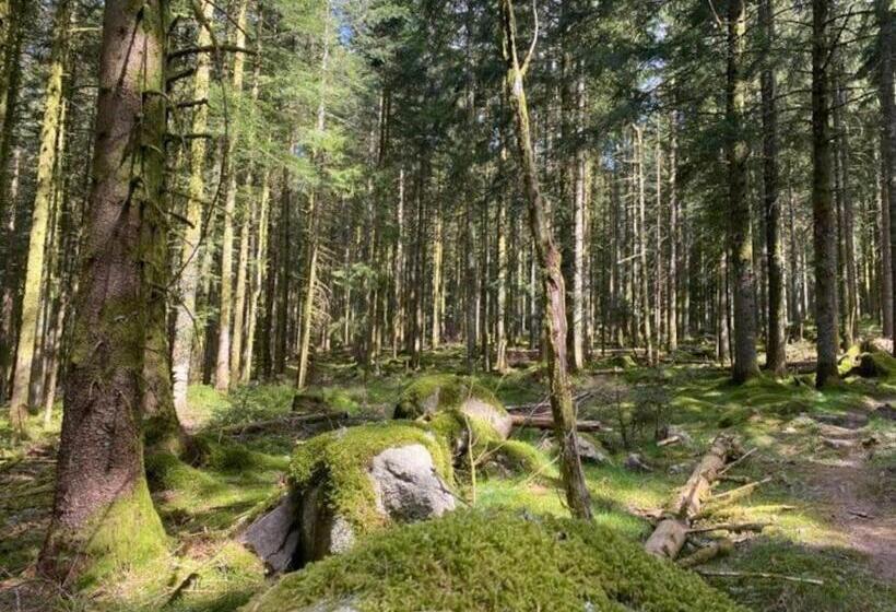 Appt 50m2, 4 Personnes, Ménage, Draps Et Serviettes Inclus