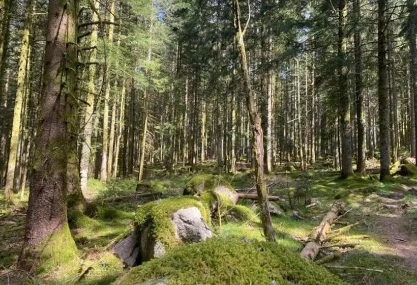 Appt 50m2, 4 Personnes, Ménage, Draps Et Serviettes Inclus