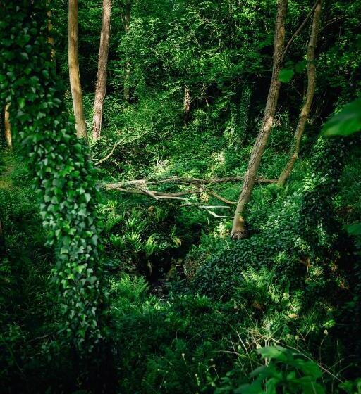 Beautiful 1 Bed Glamping Pod In Battle