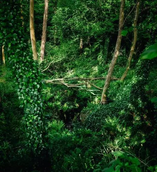 Beautiful 1 Bed Glamping Pod In Battle