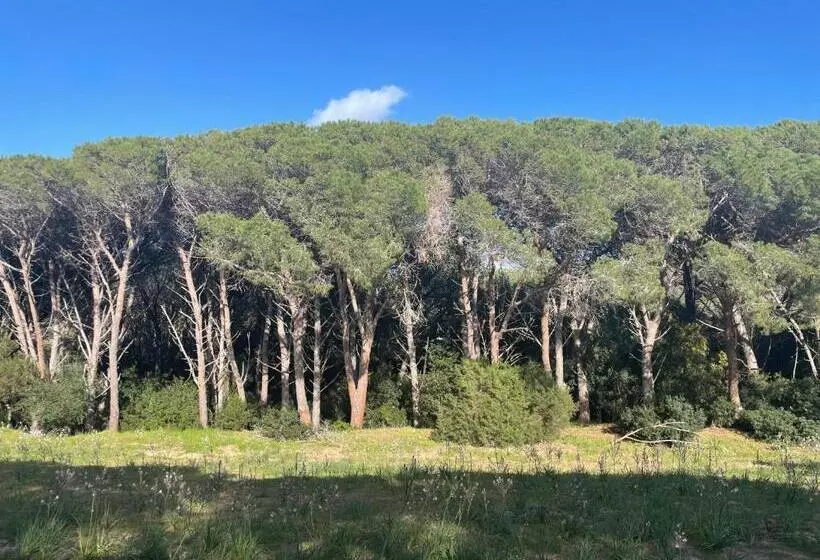Stazzo Monti Russu