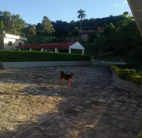 Finca Hotel   Piscina La Johanna