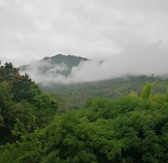 Finca Hotel   Piscina La Johanna