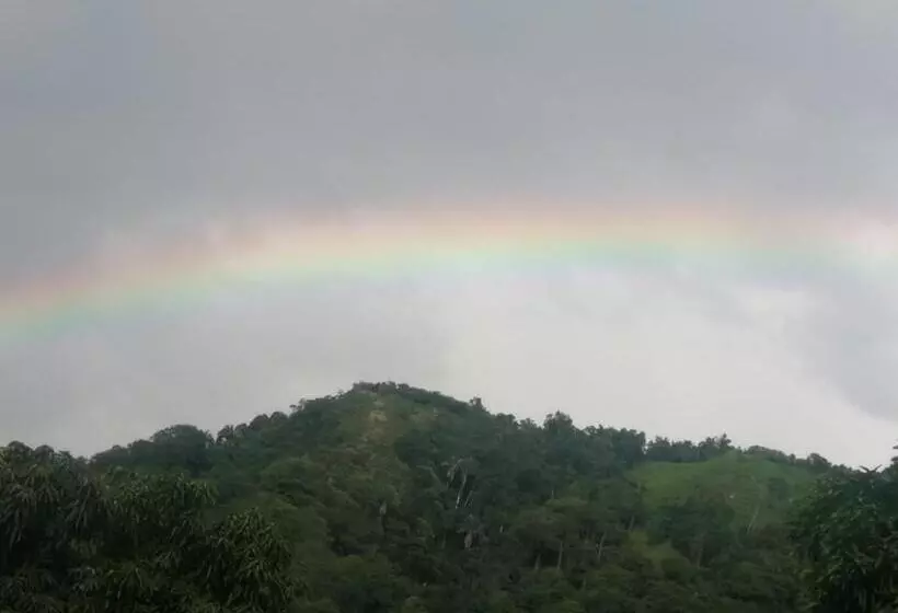 Finca Hotel   Piscina La Johanna