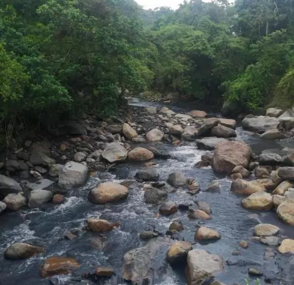 Finca Hotel   Piscina La Johanna