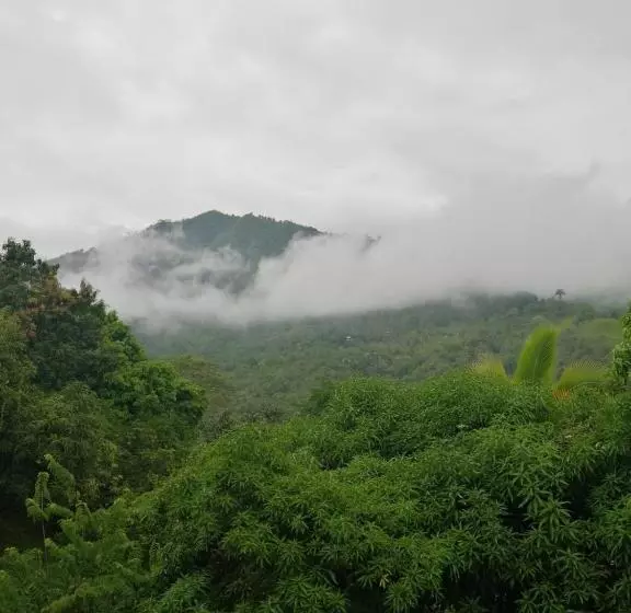 Finca Hotel   Piscina La Johanna