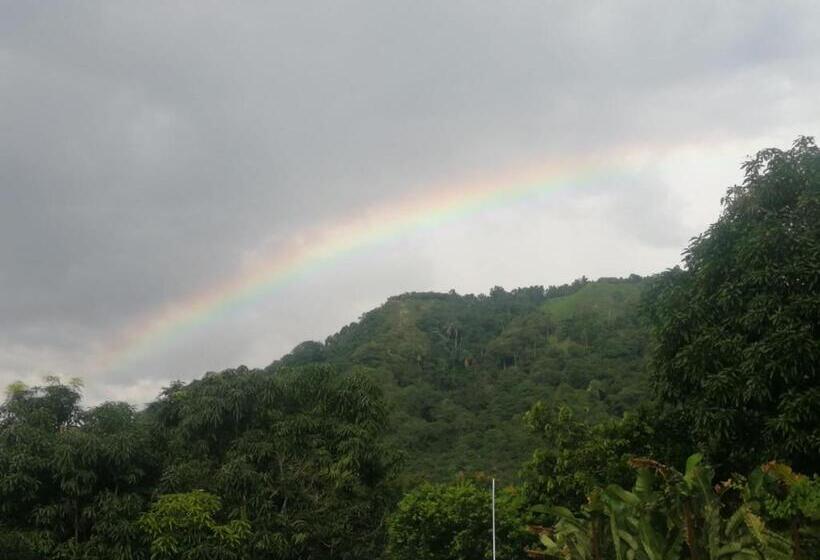 Finca Hotel   Piscina La Johanna