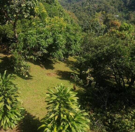 Finca Hotel   Piscina La Johanna