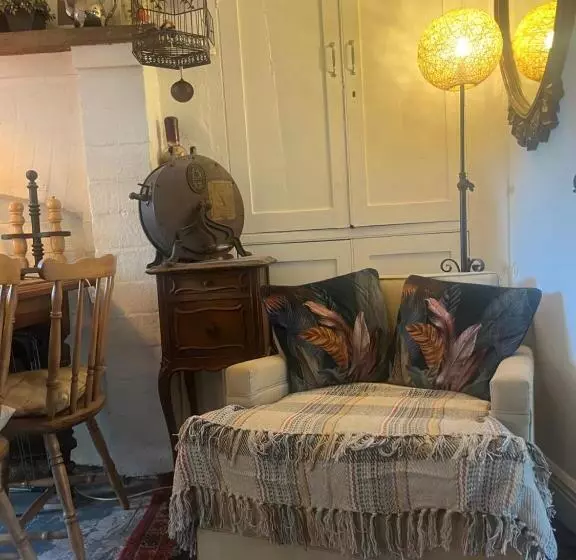 Charming Garden Flat In Vivary Park, Central Taunton