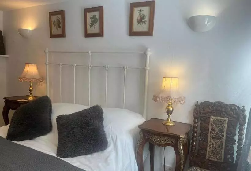 Charming Garden Flat In Vivary Park, Central Taunton