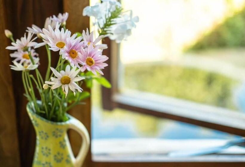 Half Moon Hollow Eco Cottage