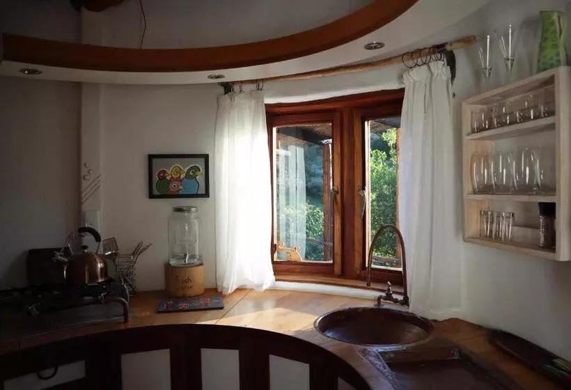 Half Moon Hollow Eco Cottage