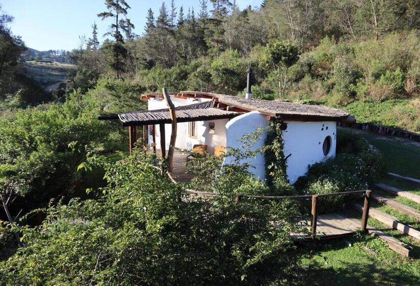 Half Moon Hollow Eco Cottage