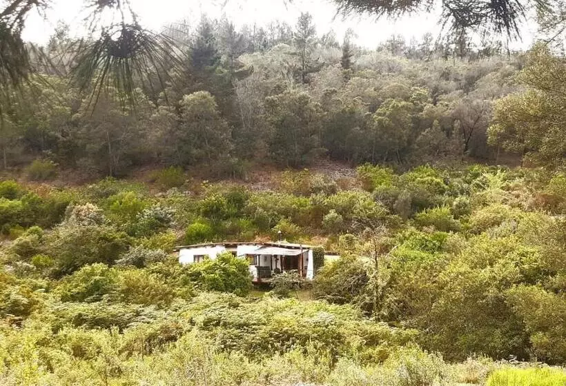 Half Moon Hollow Eco Cottage