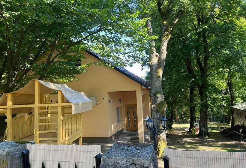 Kincs Apartman és Jurtaszállás