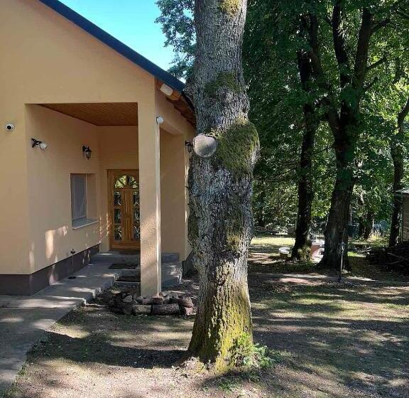 Kincs Apartman és Jurtaszállás