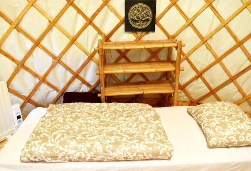 Kincs Apartman és Jurtaszállás