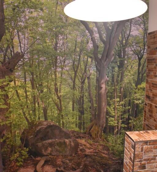 Kincs Apartman és Jurtaszállás