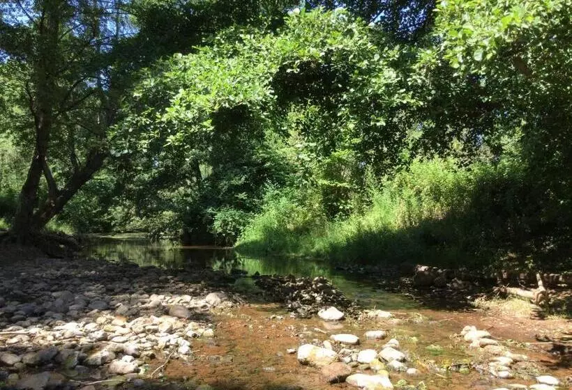La Bohème. Maison De Village Cosy, Jardin Et Spa