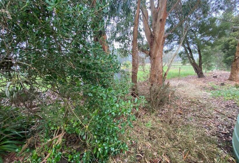 Richo’s Retreat, 1 Bed Unit Near Great Ocean Road