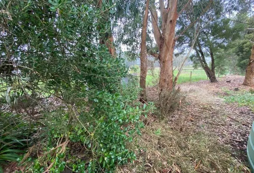 Richo’s Retreat, 1 Bed Unit Near Great Ocean Road