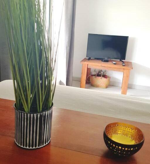 Superbe Studio Avec Varangue à 150 M De La Plage à La Saline Les Bains