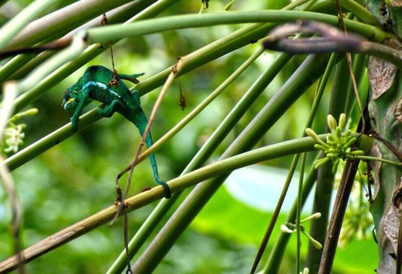 Superbe Studio Avec Varangue à 150 M De La Plage à La Saline Les Bains