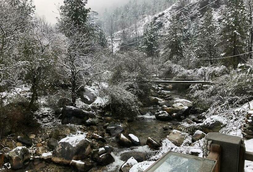 הוסטל Earthlings Backpacker Den