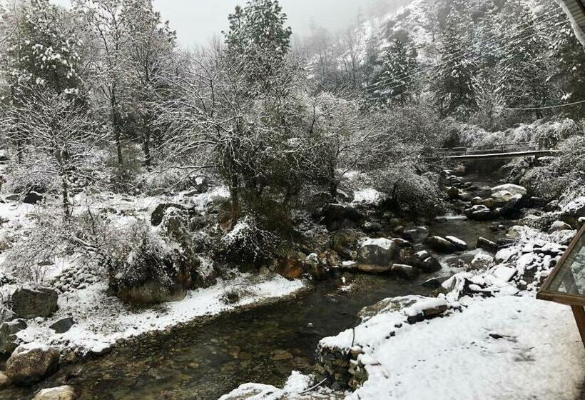 הוסטל Earthlings Backpacker Den