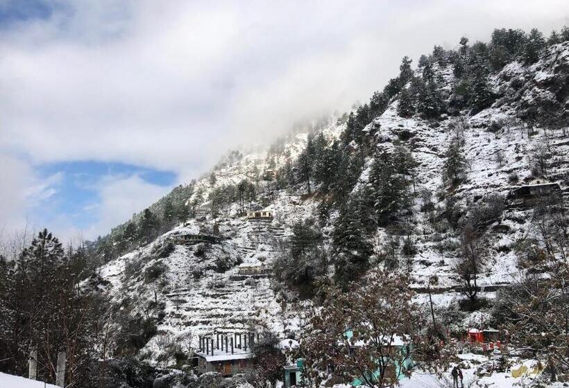 הוסטל Earthlings Backpacker Den