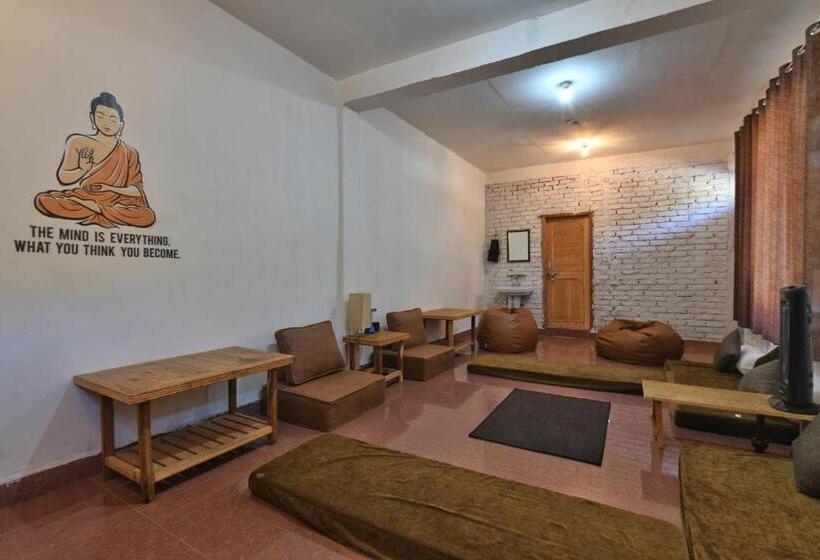 הוסטל Earthlings Backpacker Den