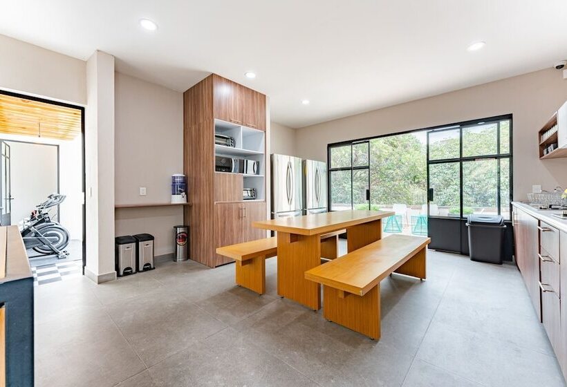 호스텔 Casa Danubio Reforma By Vh