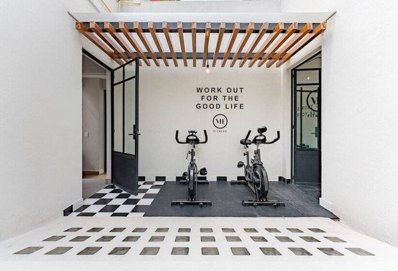 호스텔 Casa Danubio Reforma By Vh