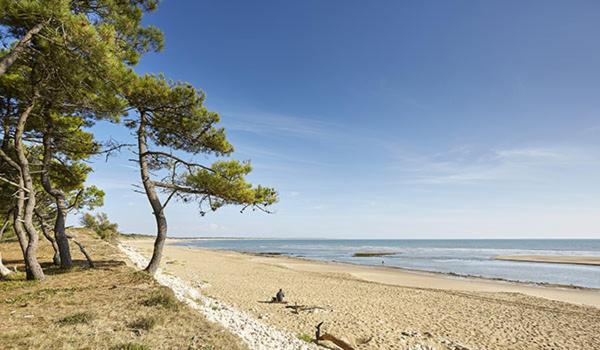 Bud House Magnifique Villa Proche De La Mer