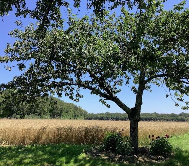 Gîte Entre Loire Et Campagne