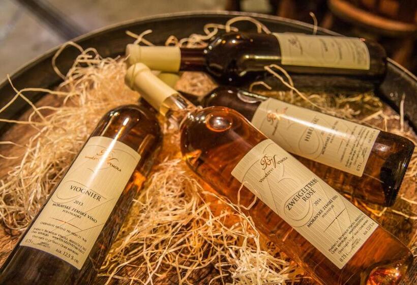 ペンション Vinařství Výmola