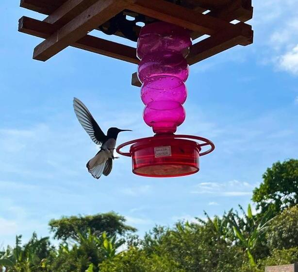 Bed and Breakfast Casa Campestre Hh