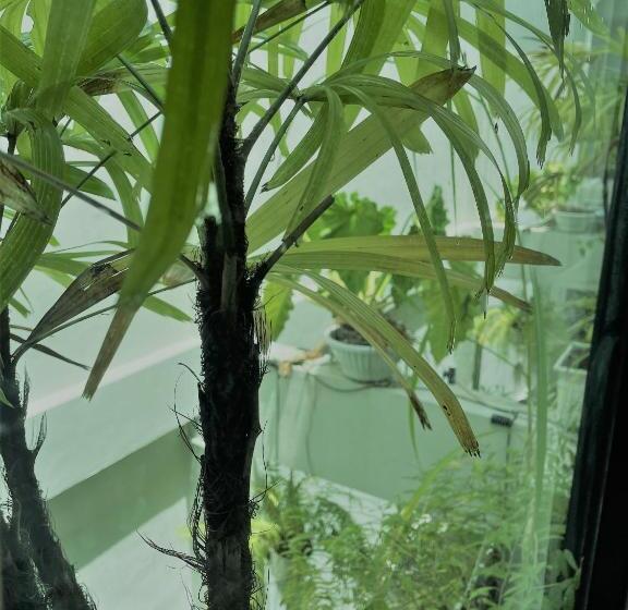 هتل The Belong Boutique