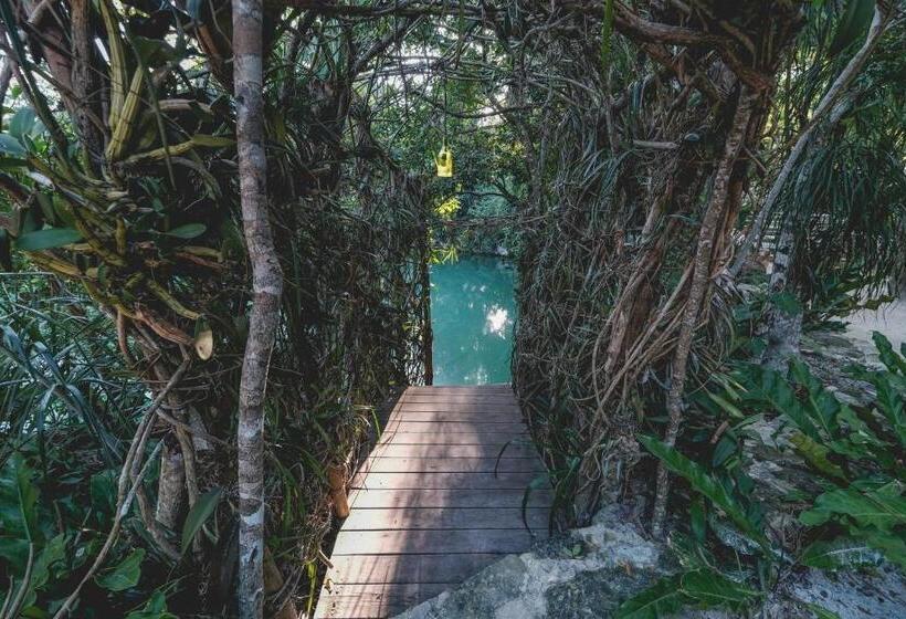 فندق Wakax Hacienda  Cenote & Boutique