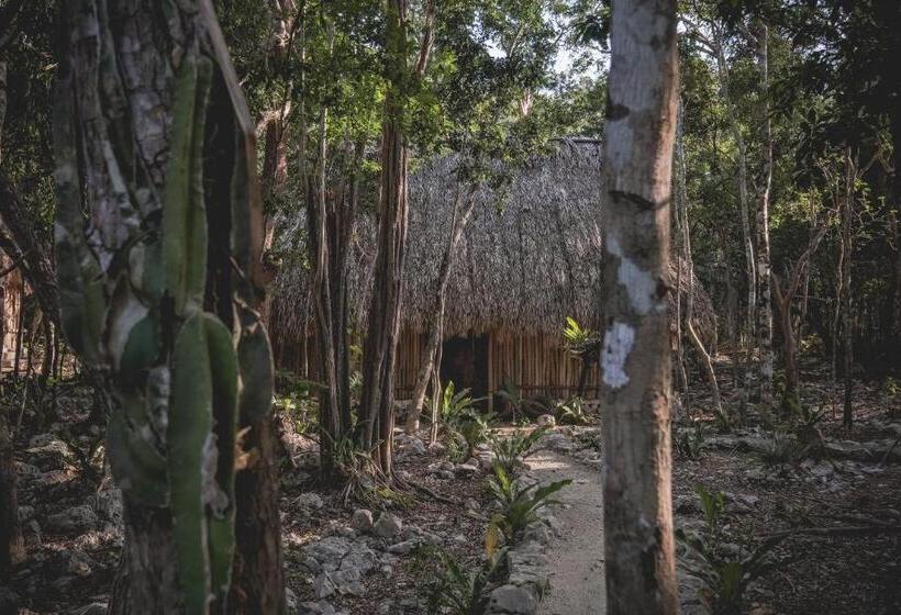 فندق Wakax Hacienda  Cenote & Boutique