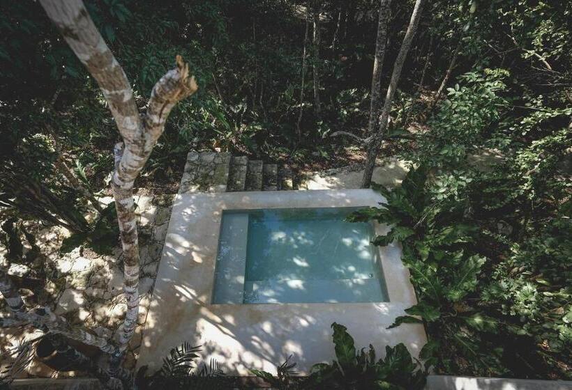 فندق Wakax Hacienda  Cenote & Boutique