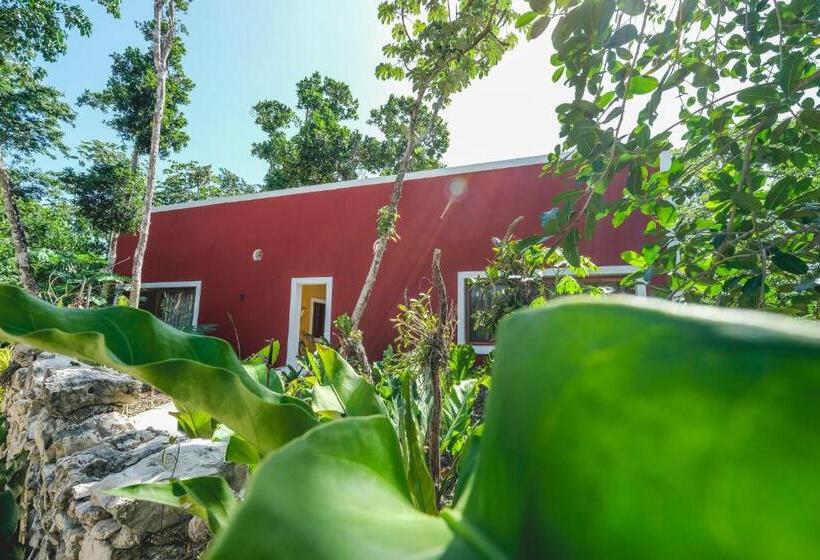 فندق Wakax Hacienda  Cenote & Boutique