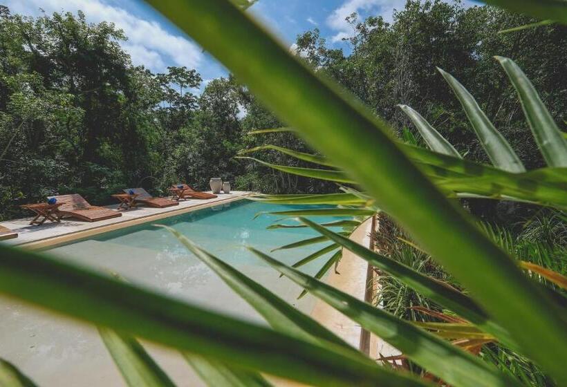 فندق Wakax Hacienda  Cenote & Boutique