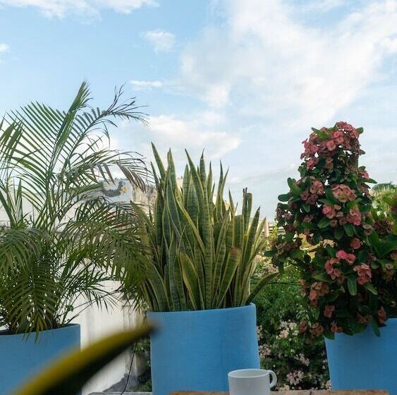 پانسیون La Puerta Azul