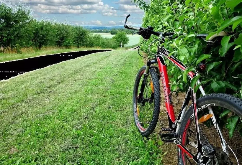 住宿加早餐 Villa Orchard Frankfurt