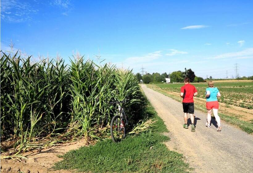 ベッドアンドブレックファースト Villa Orchard Frankfurt